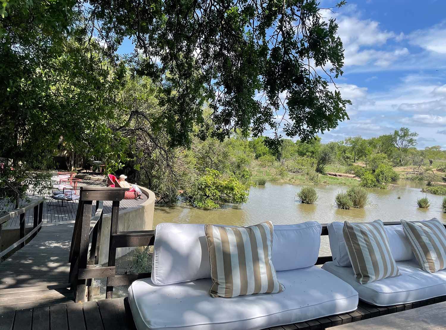 Royal Malewane The property has its own watering hole which means you can often find elephants, giraffes and other new friends hanging around