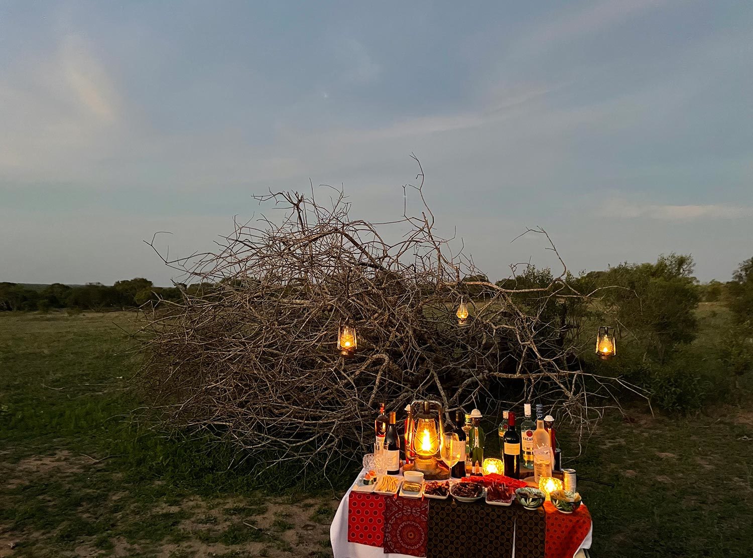 Royal Malewane When nature plays set designer for your happy hour. Swoon
