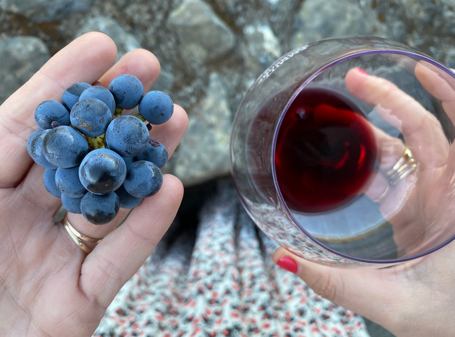 MacArthur Place From grapes to glass! I loved learning about the wine-making process and seeing the grapes that are used to make delicious, high-quality wine