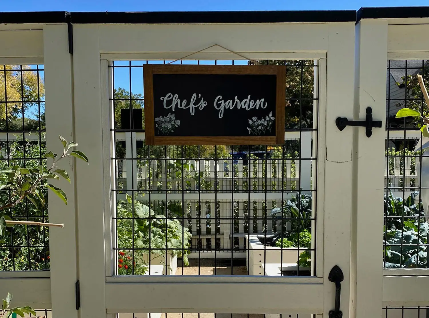 MacArthur Place The property had a Chef’s Garden with beautiful fruits and vegetables, which are used for the delicious dishes and cocktails at Layla Restaurant