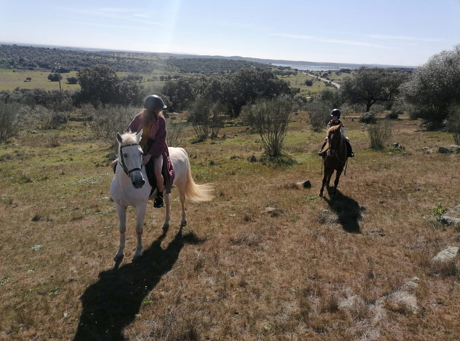 São Lourenço do Barrocal Exploring the area with my daughter by horse was magical. Apparently there are also 8 wild horses on the estate — free roaming following the abandonment of the estate after the Carnation revolution in 1974