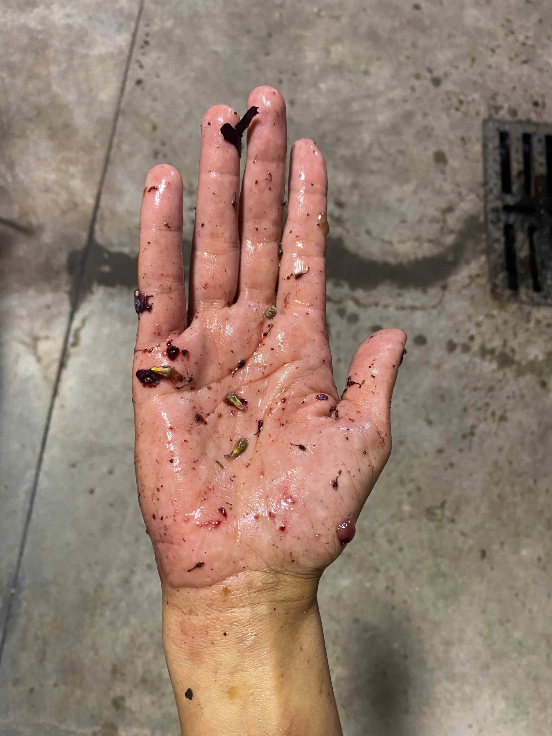 This hand has been sorting grapes.