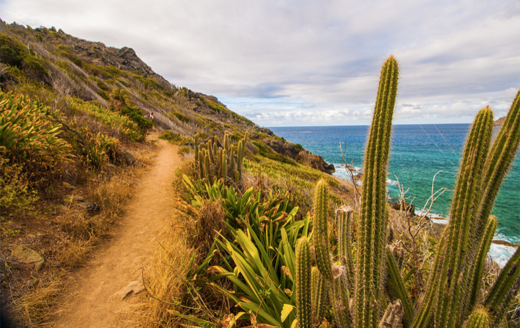 Hiking in St. Barts