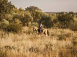 Horse riding