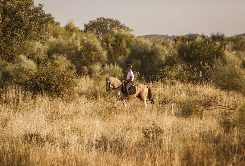 Horse riding