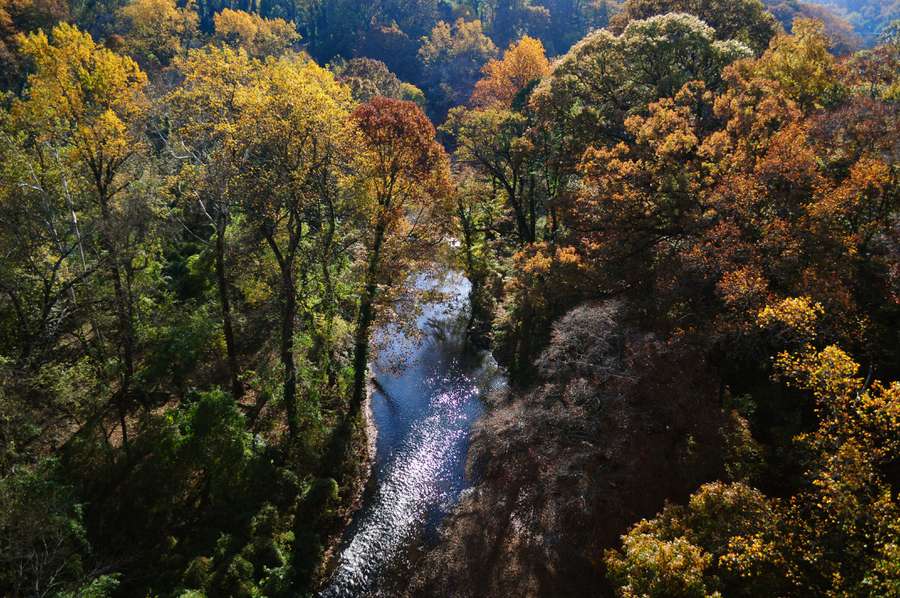 Rock Creek Park