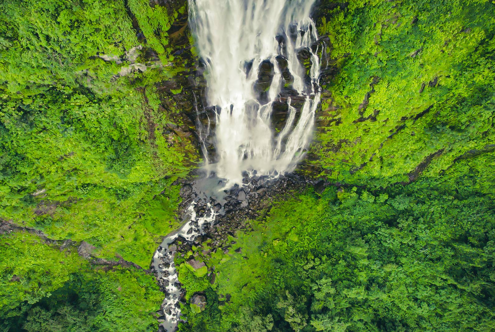 Set on 205 acres of sprawling mountains and waterfalls, HOLOS' first project is in development in the Diamanté Valley of Costa Rica