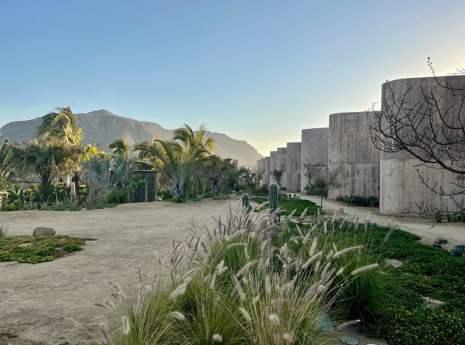 Paradero Architects Ruben Valdez and Yashar Yektajo have created a brutalist wonderland in the Baja desert