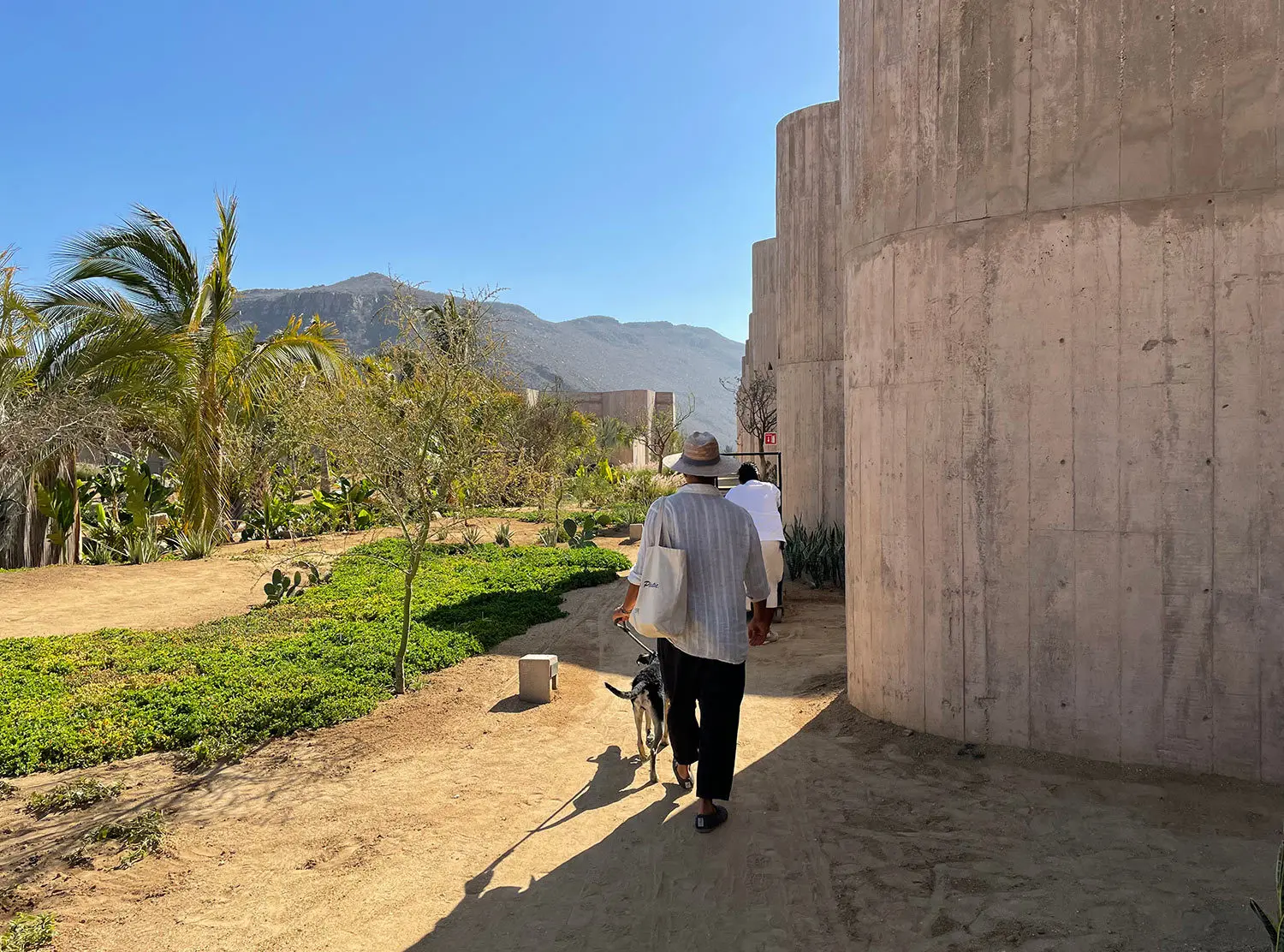 Paradero Being led through the brutalist desert wonderland is the best part of the adventure