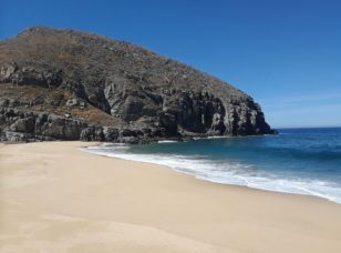 Punto Lobos hike