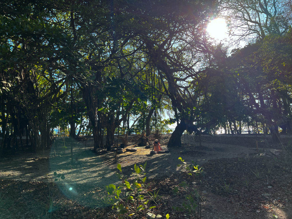 Zunya The lovely Victoria setting up space for her breath work journey under the sacred tree