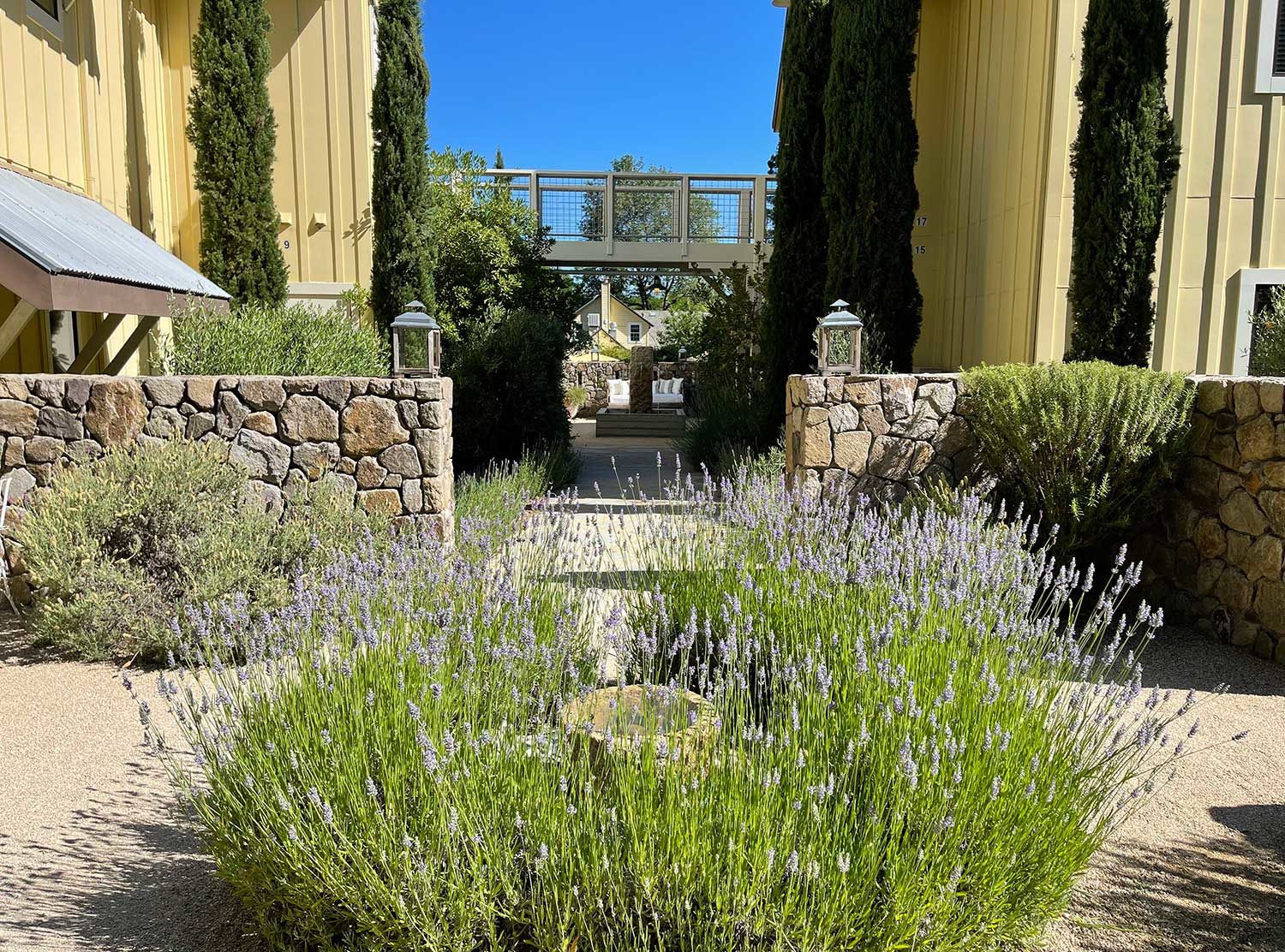 Farmhouse Inn Pit stop to smell the lavender. I love the way they planted it too!