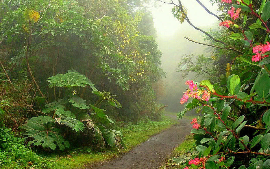 Cabo Blanco Reserve 