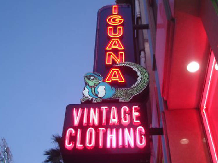 Iguana Vintage