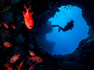 Diving Around the Island