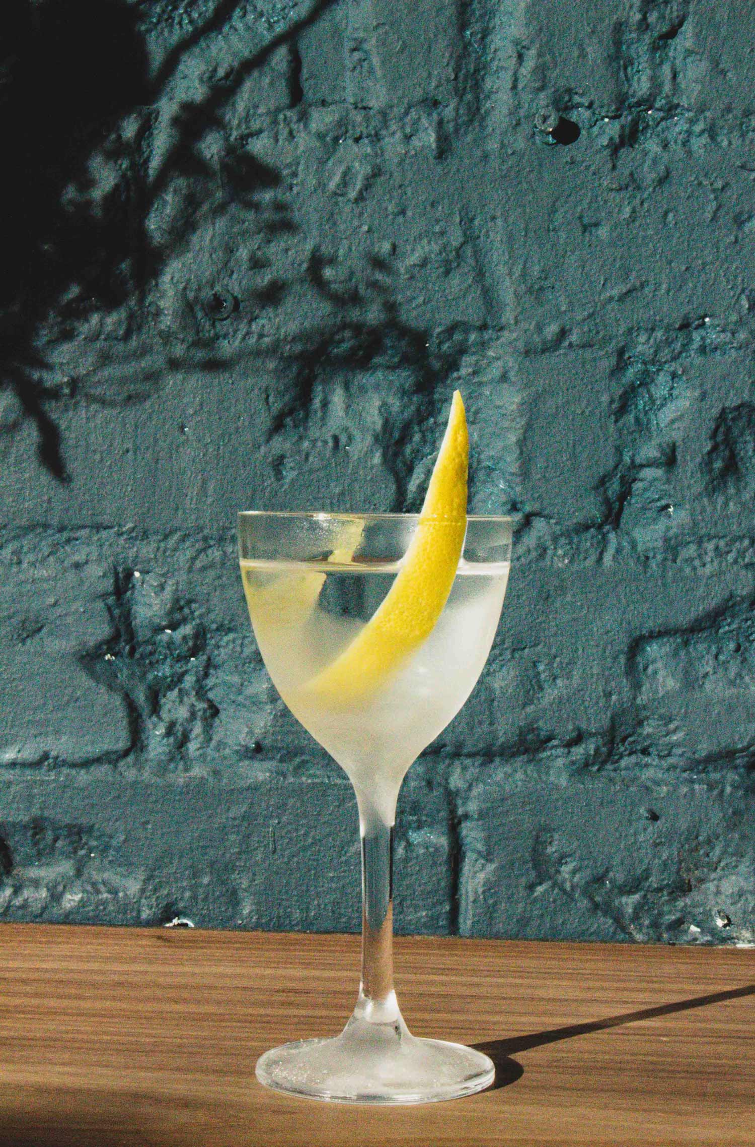 Gin Martini with a twist