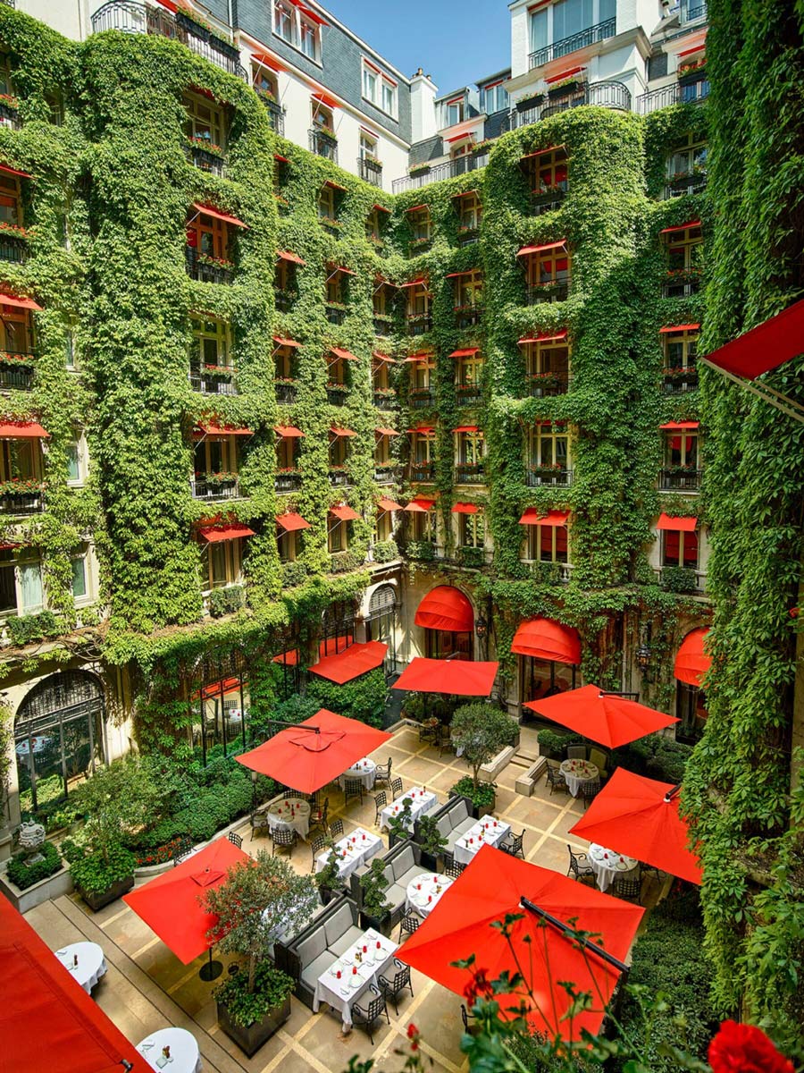 Courtyard garden at La Cour jardin