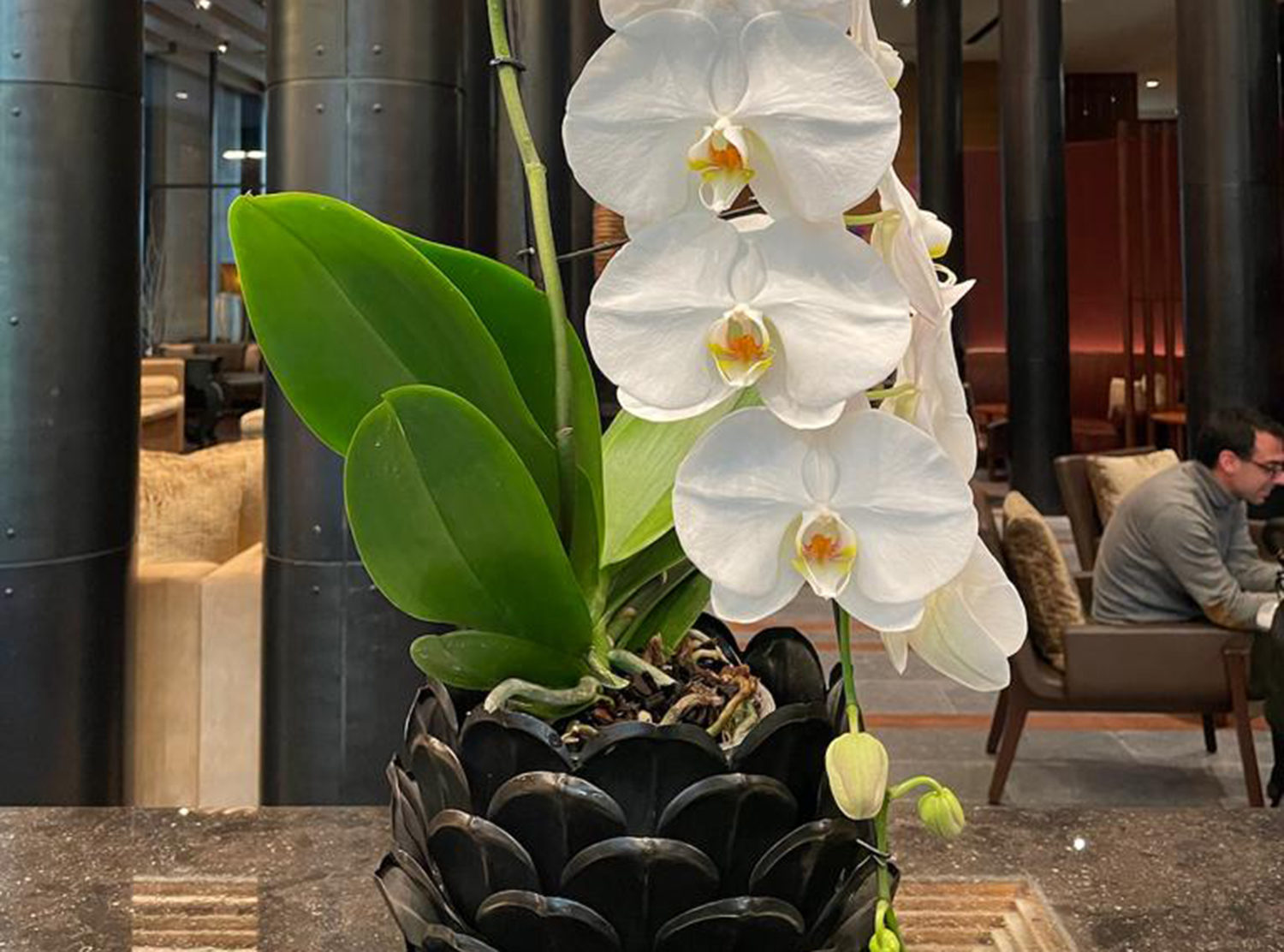 The Chedi Andermatt Beautiful orchid arrangement