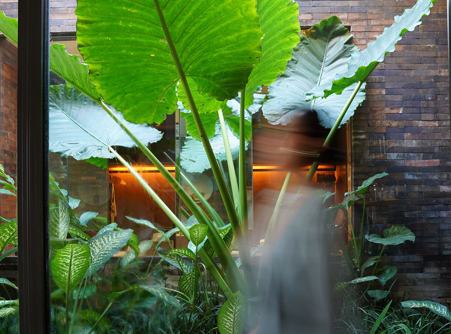 Desa Potato Head A green pocket inside the room divides the dining area and the closet