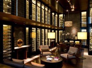 Wine & Swiss cheese tasting
