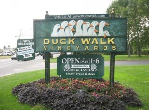 Duck Walk Vinyard