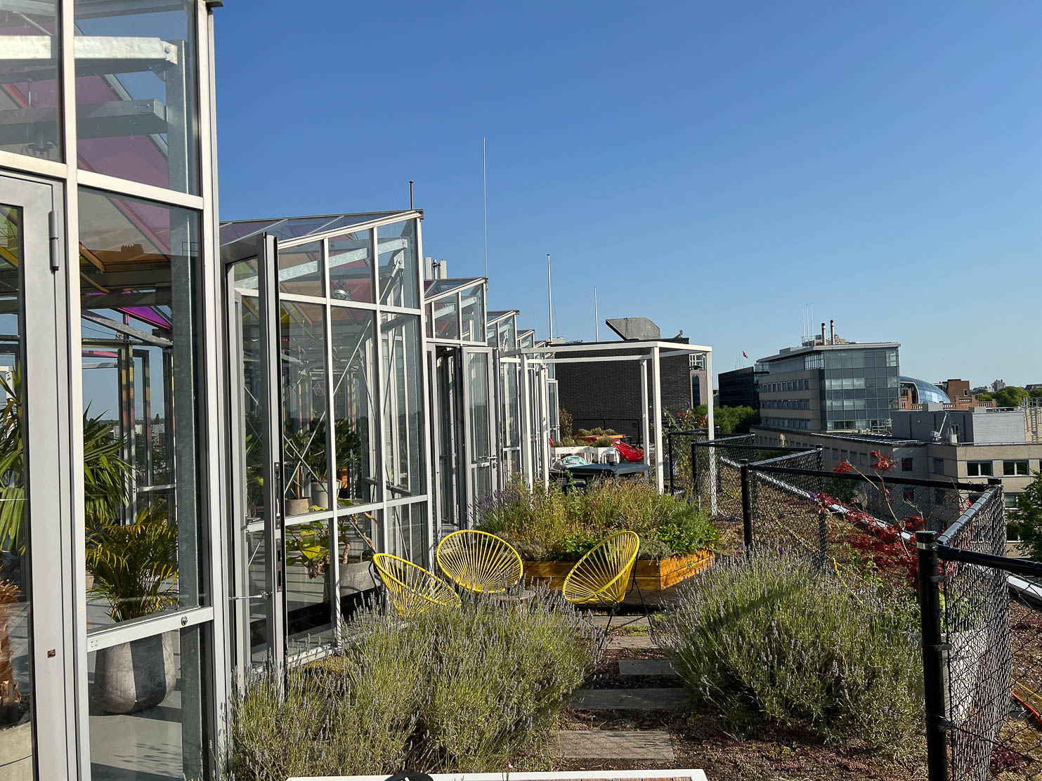 Zoku All the lavender smelled amazinggg on the rooftop at Zoku