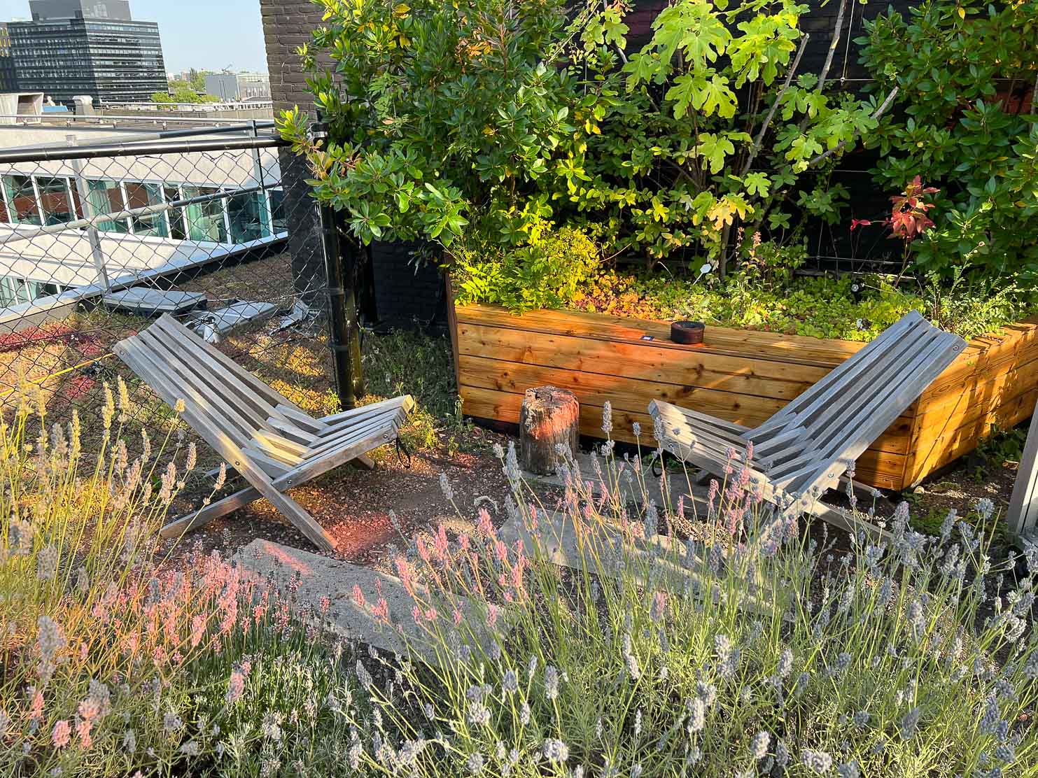 Zoku In my own little sun-drenched corner…