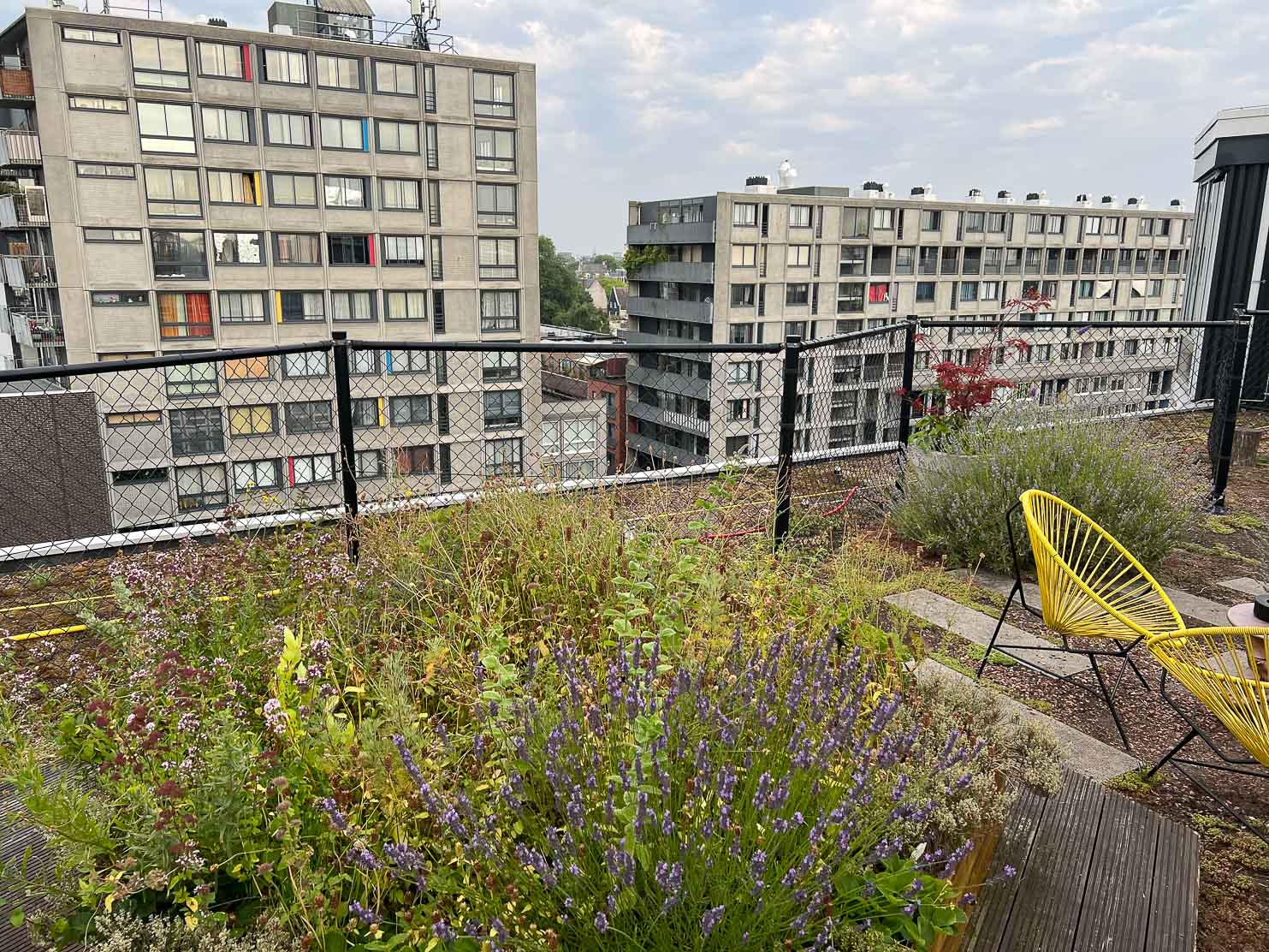 Zoku Views from above