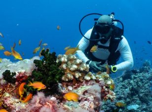 Swimming Below the Surface