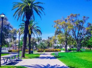 Flamingo Park