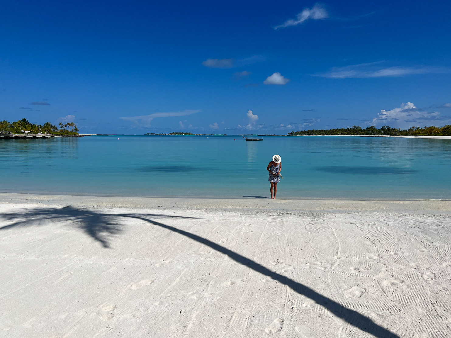 Patina Maldives, Fari Islands Still cannot get over how white the sand is, the contrast to the surrounding colors is mesmerizing