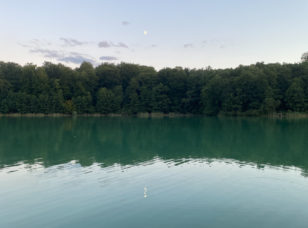 Swim in the lake