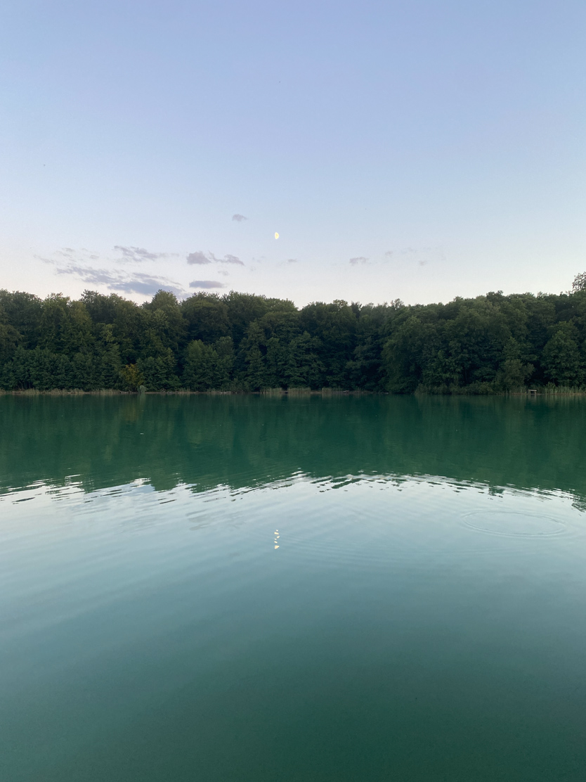 Swim in the lake