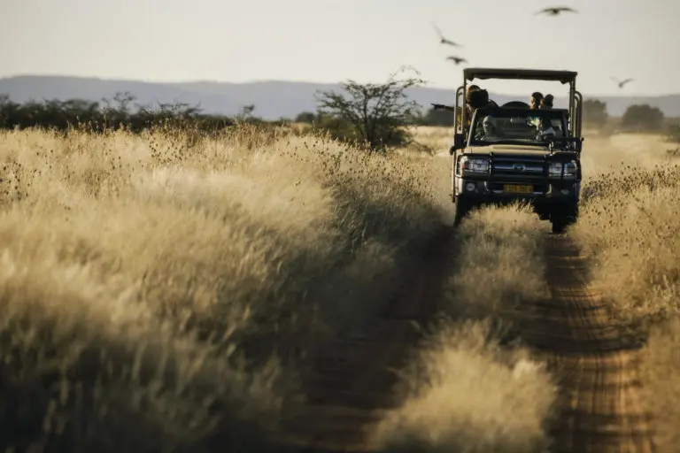 Litha Maqungo reviews Habitas Namibia for A Hotel Life - safari