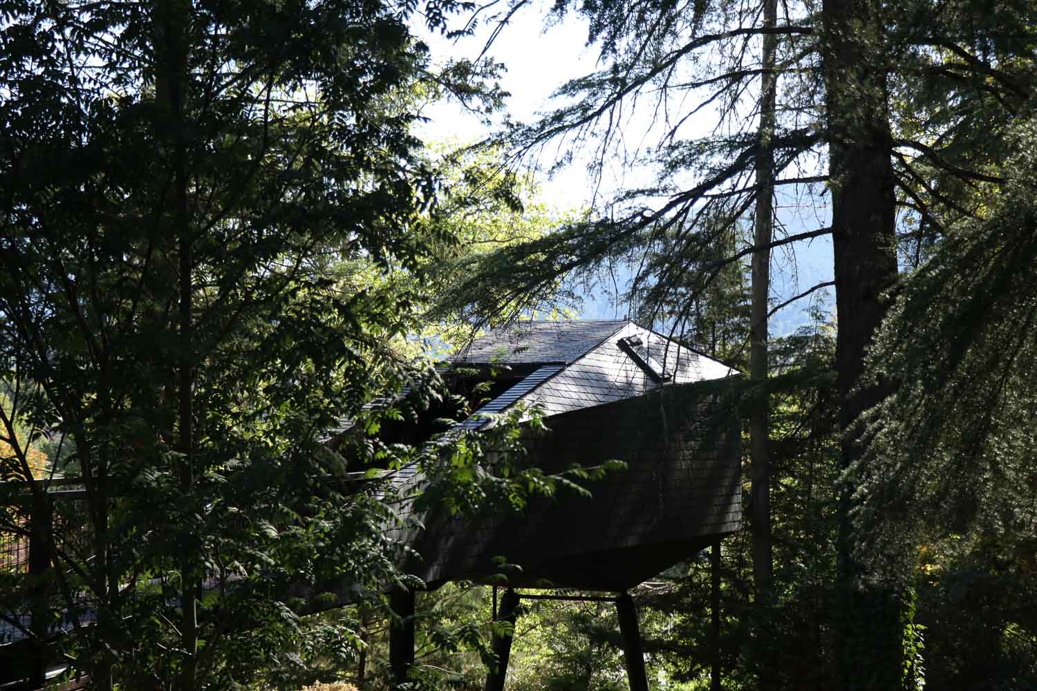 Pedras Salgadas Spa & Nature Park Coming back to the tree house feels new and exciting every time as new paths reveal themselves to approach the structure