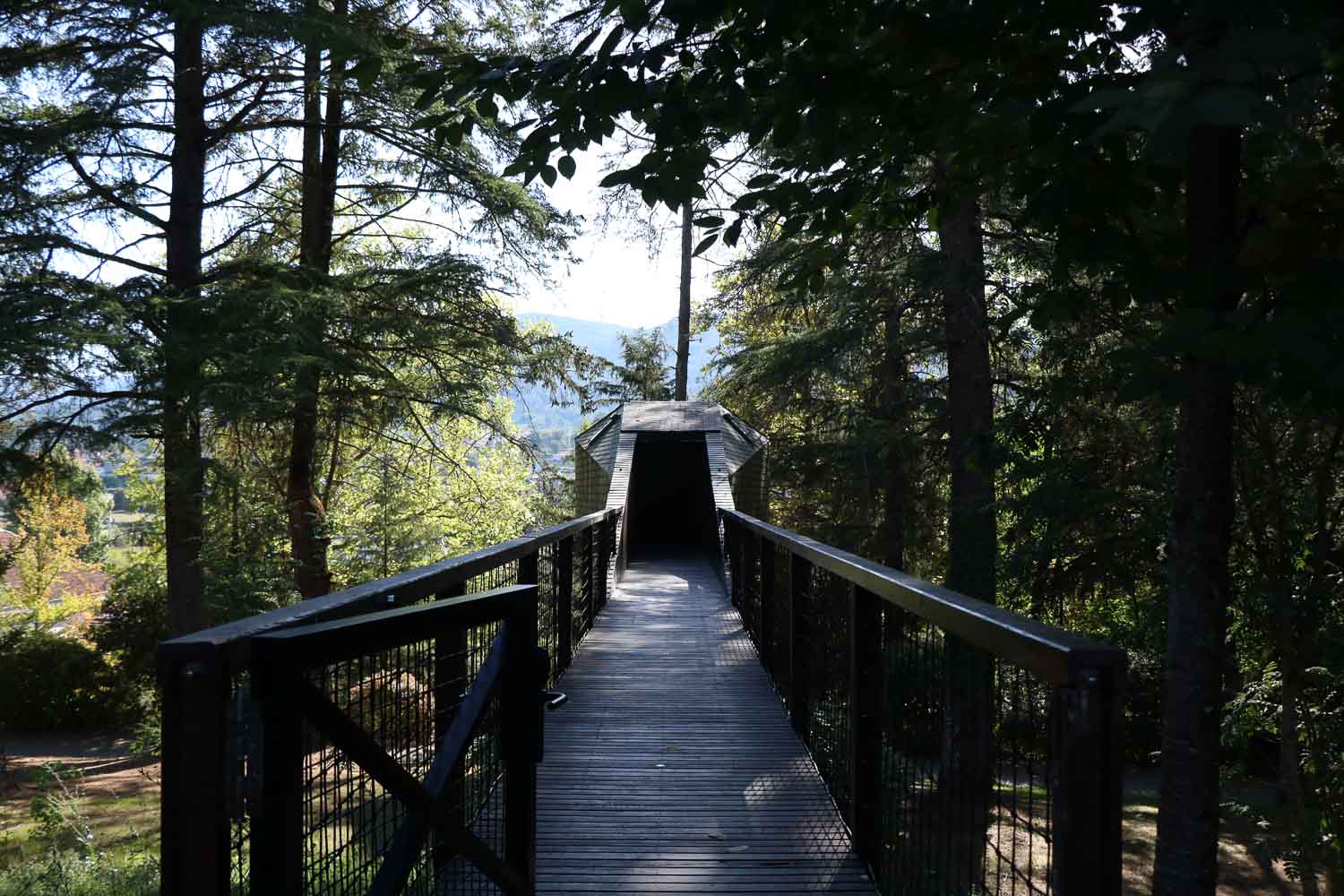 Pedras Salgadas Spa & Nature Park Stepping onto this walkway to our treehouse offered a truly elevated nature experience