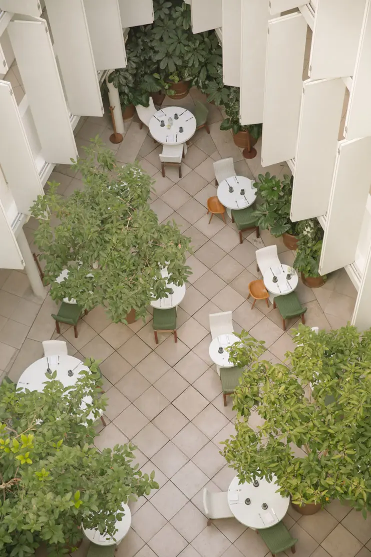 The lush courtyard at Condesa DF