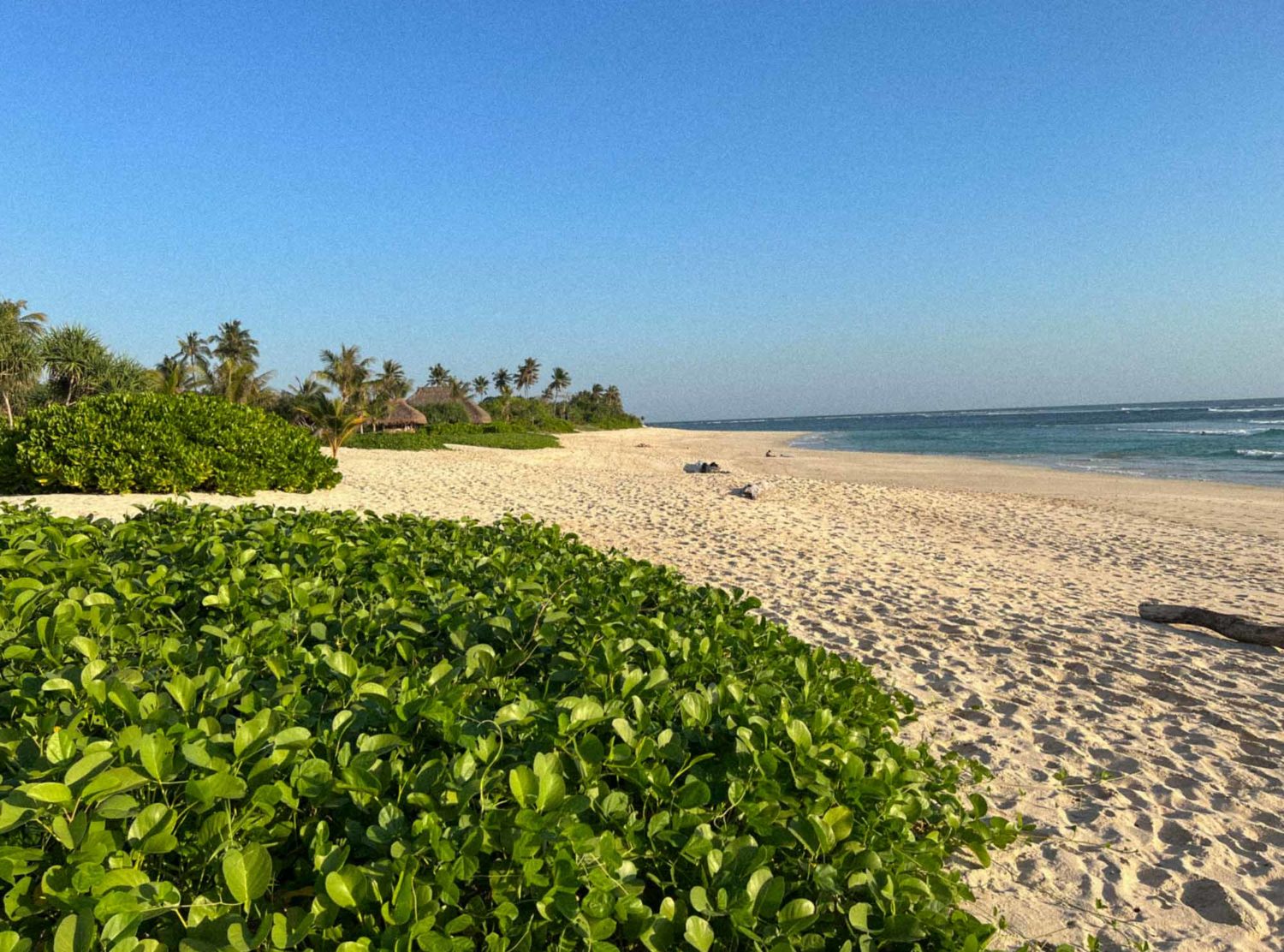 The Sanubari The Sanubari’s beautiful wild beach is dotted with tropical vegetation such as mangroves and palm trees
