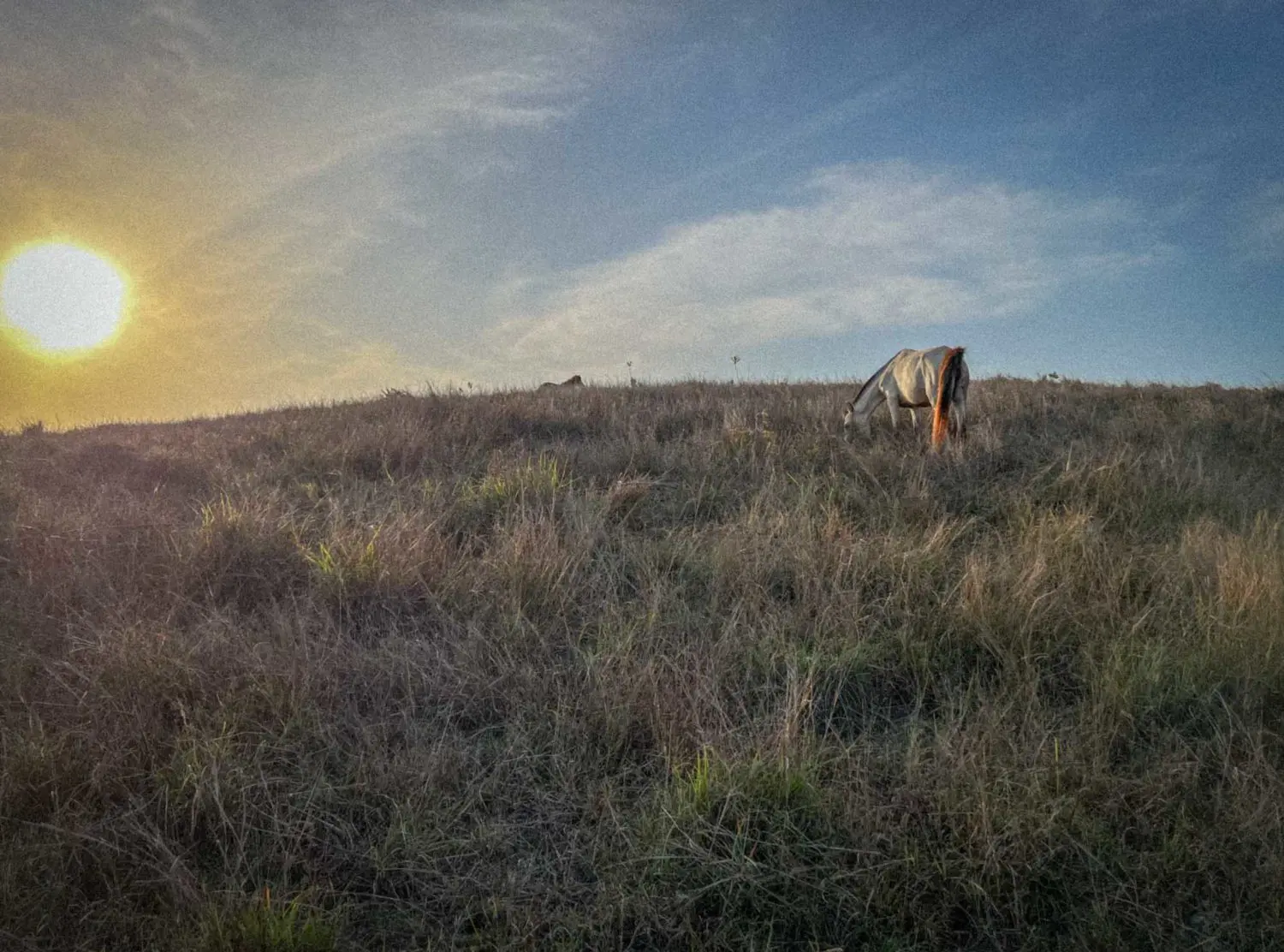 The Sanubari Sunset on the meadow above Watu Bella beach