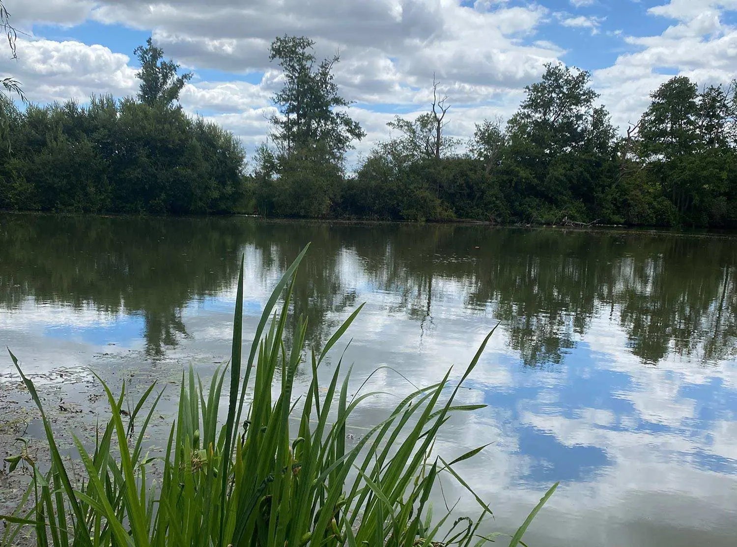 Heckfield Place The property's lake — perfect spot to settle down