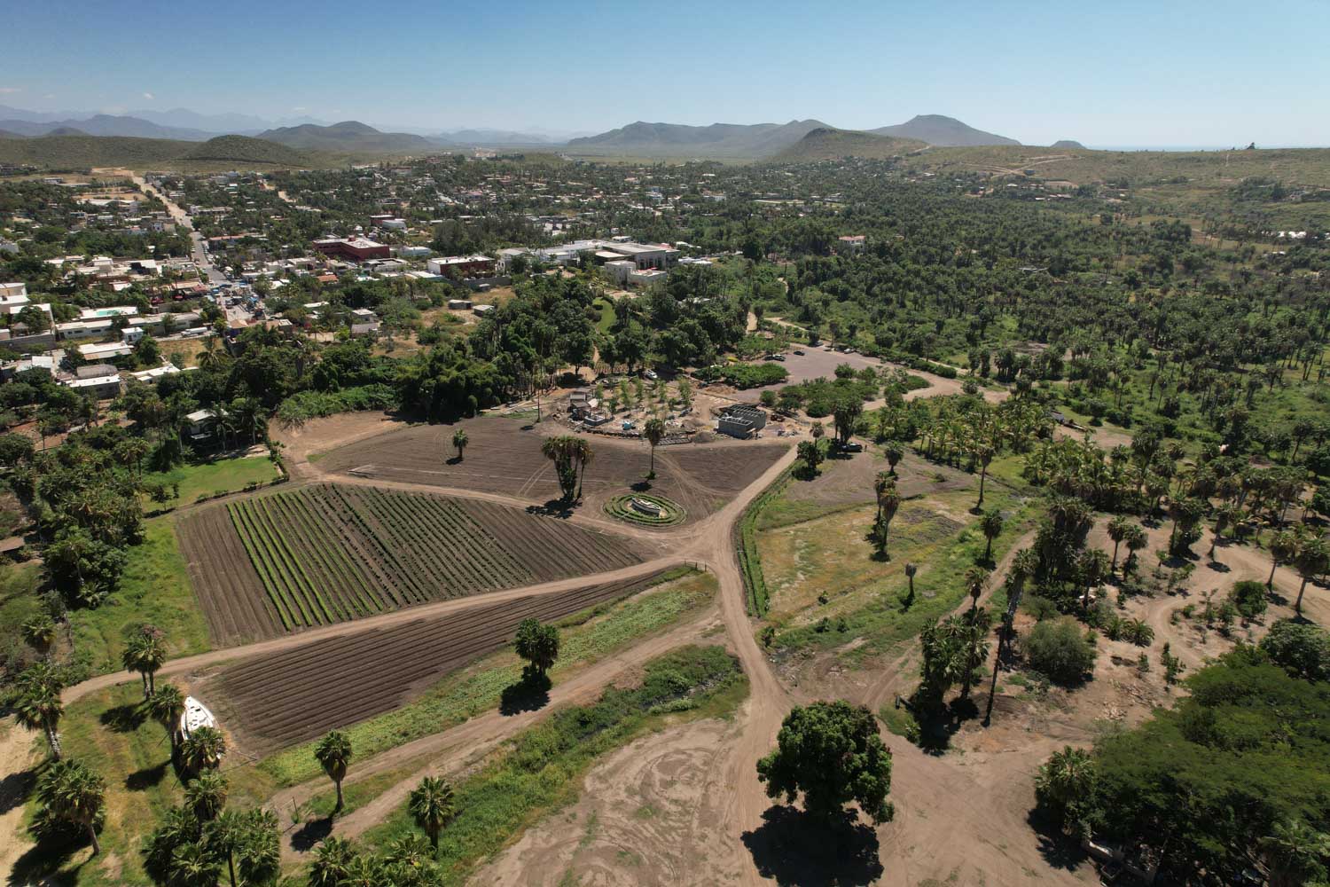 The site of El Patio by ZⓈONAMACO in Santa Terra, Todos Santos
