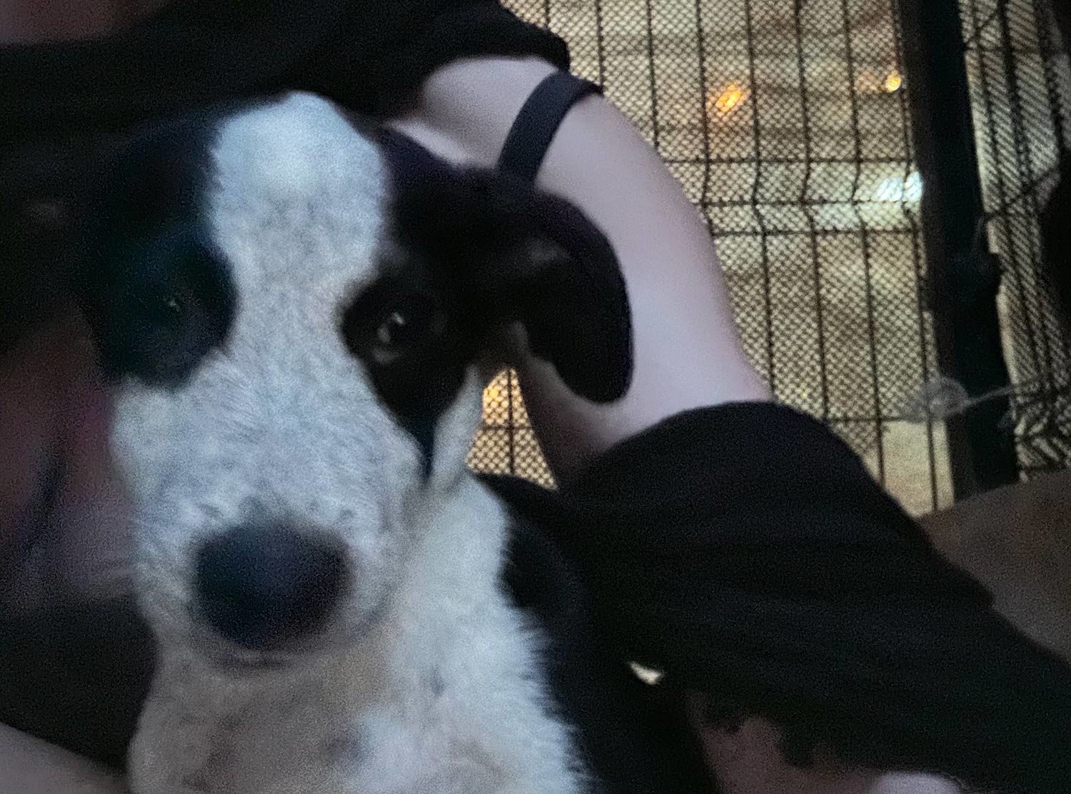 Nômade Holbox My holiday romance