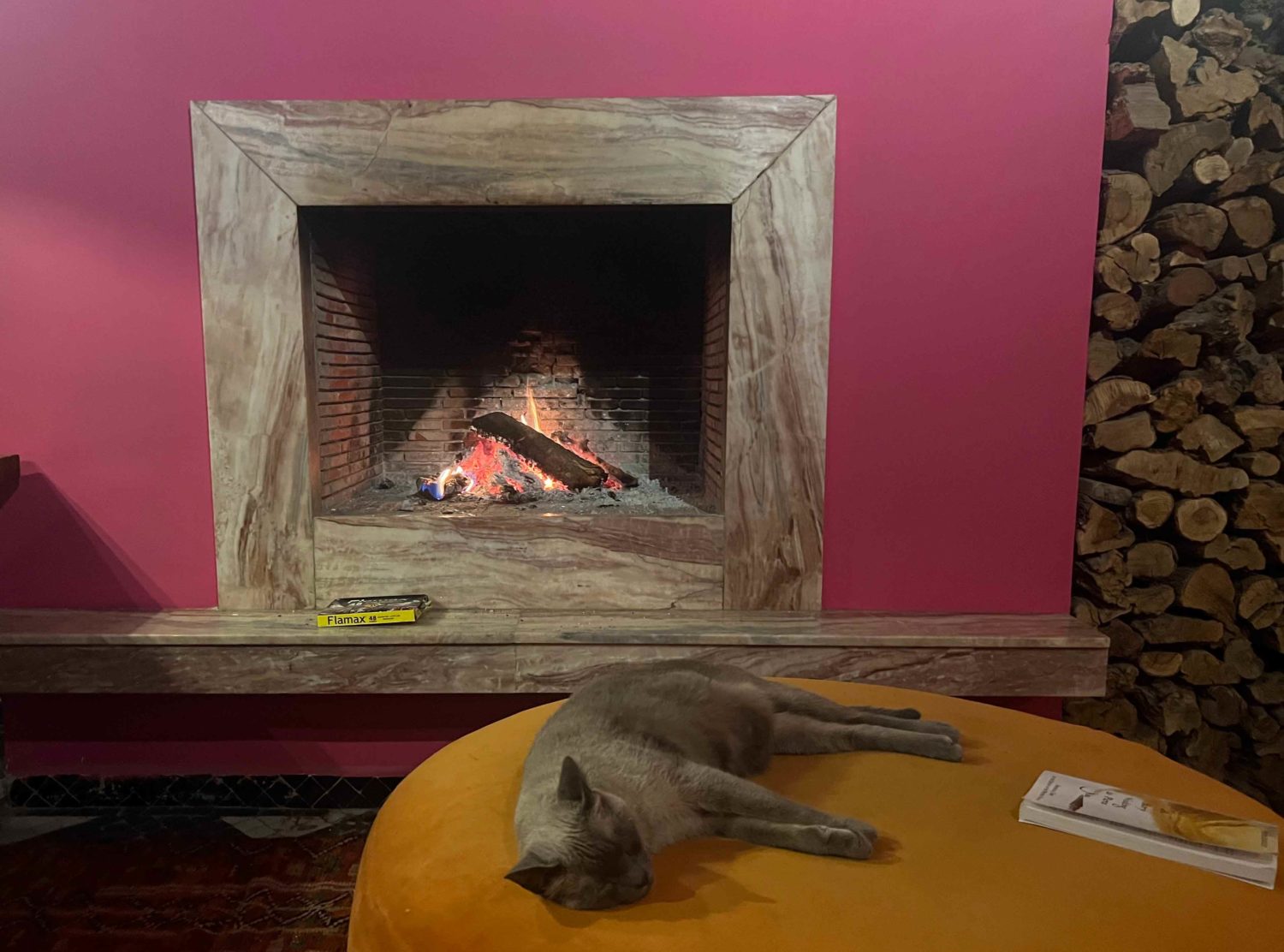 El Fenn The hotel’s resident cat was so serene by the lobby fireplace we wondered if it was real — it was
