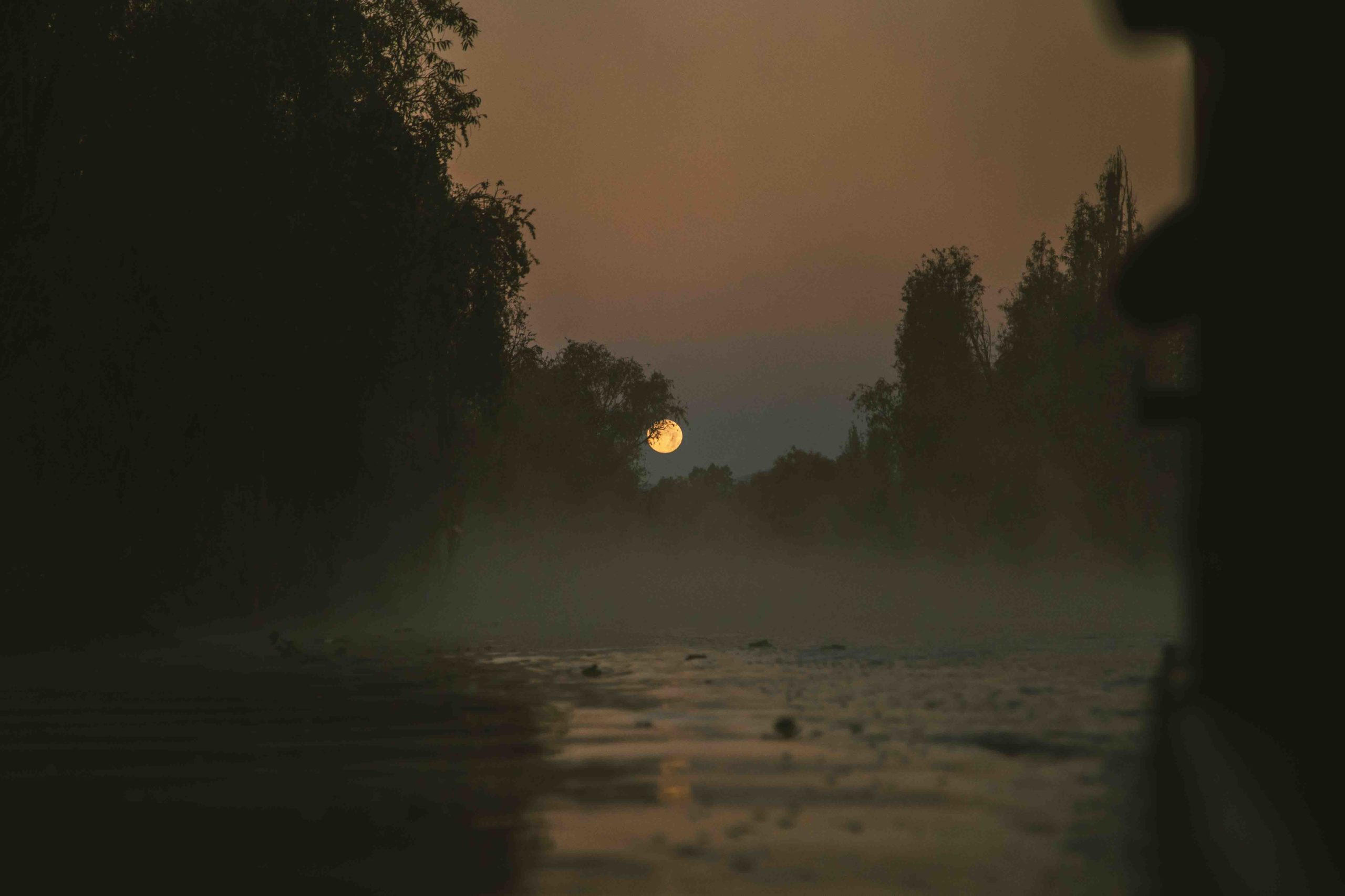 Full moon setting over the Xochimilco canals