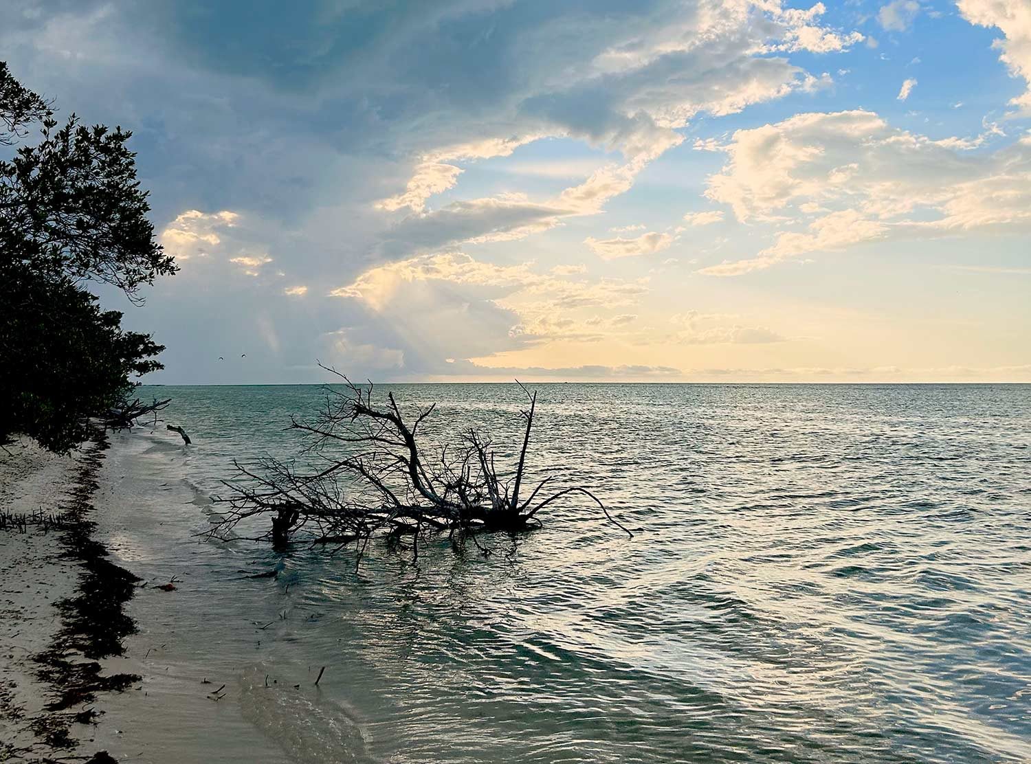 Nômade Holbox Scenery