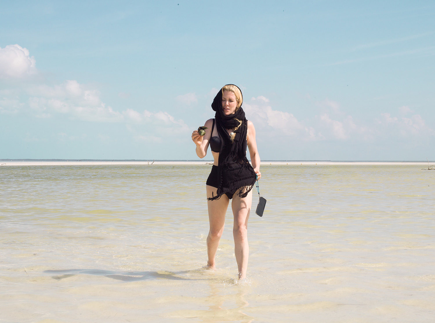 Nômade Holbox I found a terrestrial sea slug