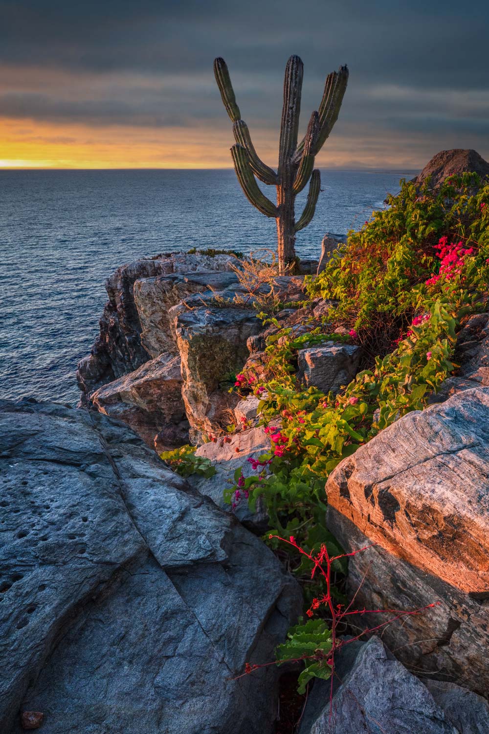 The scenic views from the Punta Lobos hike