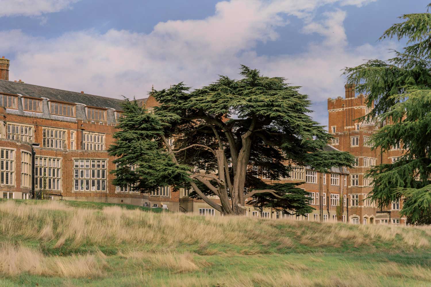 The Birch Selsdon estate. Photo by Inna Kostukovsky