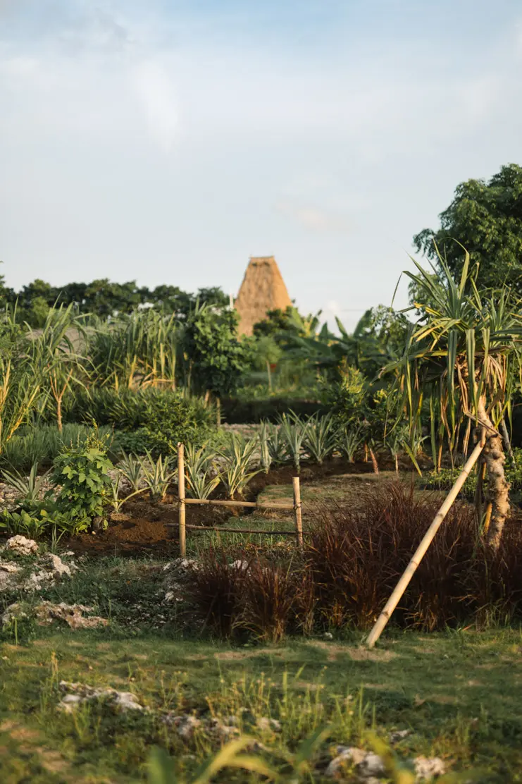 Cap Karoso features a farm run by the local community 