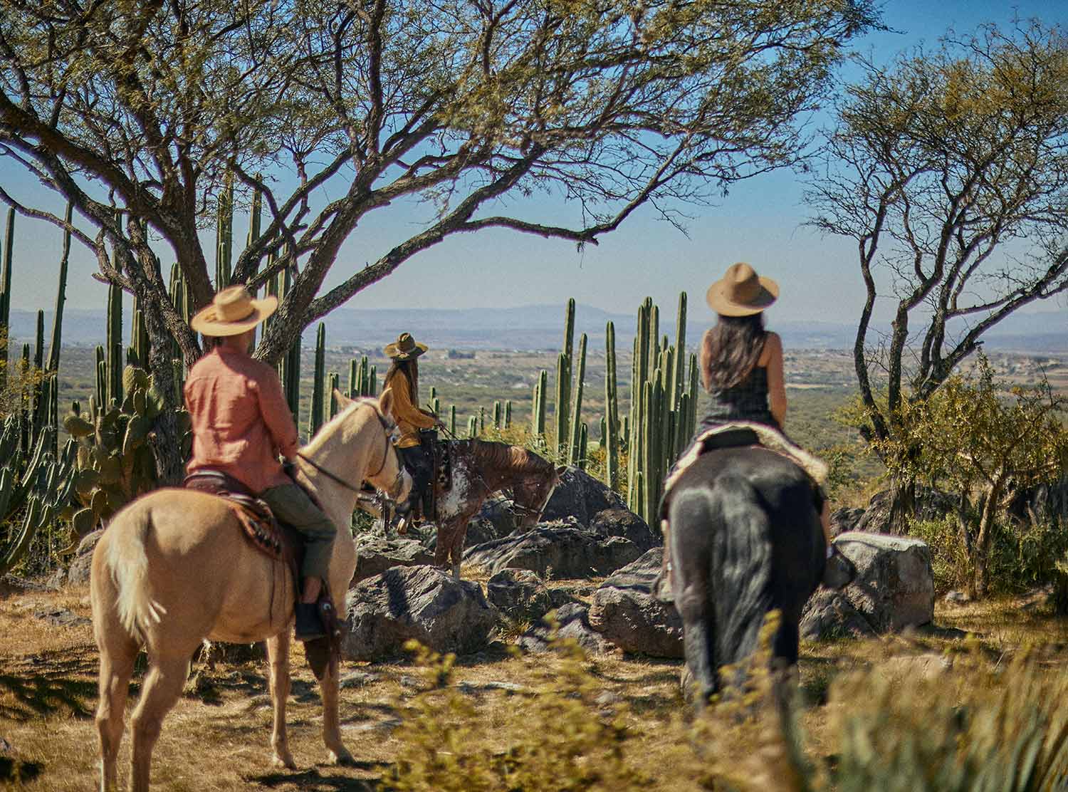 Horse-riding, among other activities, is offered at the hotel